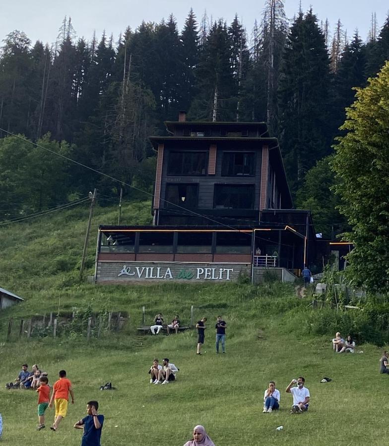 Ayder Villa De Pelit Hotel Zewnętrze zdjęcie